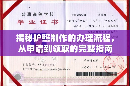 淳化揭秘护照制作的办理流程，从申请到领取的完整指南