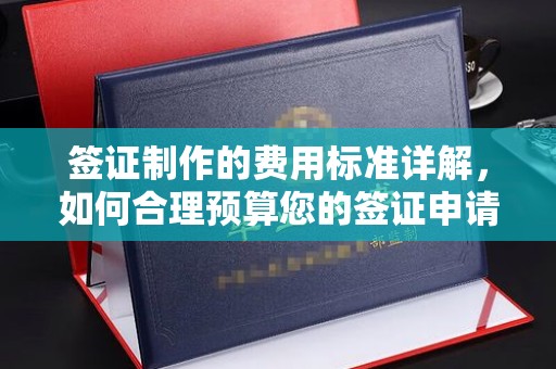 淳化签证制作的费用标准详解，如何合理预算您的签证申请成本